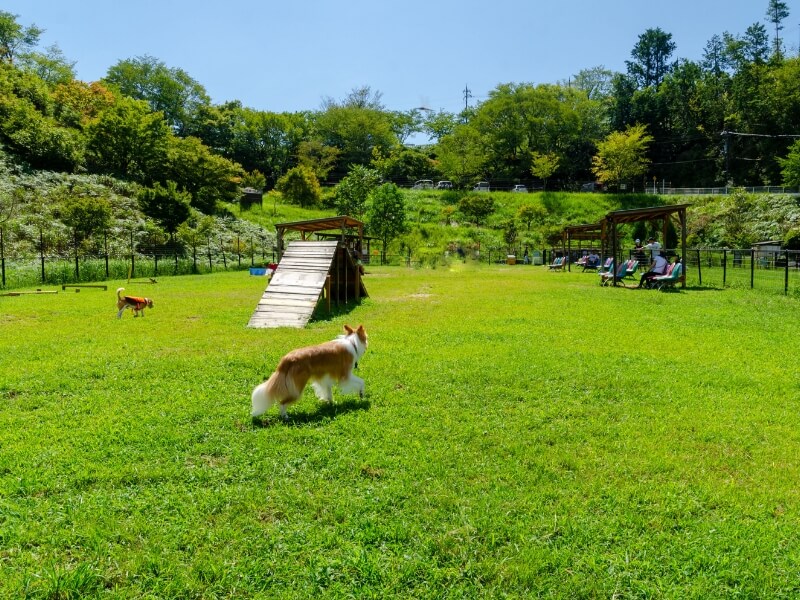 ドッグラン「ワン遊ランド」