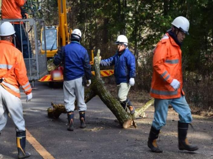 ある1日のスケジュール