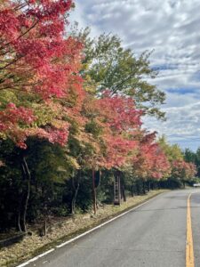 菖蒲ケ丘展望台のふもと